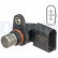 Sensor, camshaft position SS11206 Delphi, Thumbnail 2