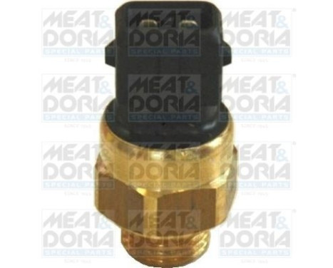 Temperature Switch, coolant warning lamp