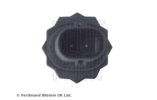 Sensor, coolant temperature ADB117215 Blue Print, Image 4