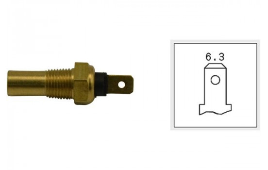 Sensor, coolant temperature