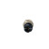 Sensor, coolant temperature, Thumbnail 4