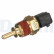 Sensor, coolant temperature