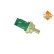 Temperature sensor