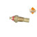 Temperature sensor