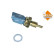 Temperature sensor