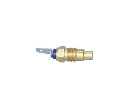 Temperature sensor