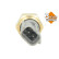 Temperature sensor, Thumbnail 3