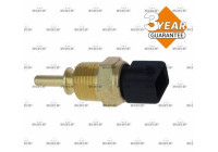 Temperature sensor