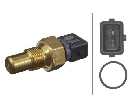 Temperature Switch, coolant warning lamp