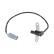 Crankshaft sensor
