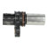 Crankshaft sensor, Thumbnail 2