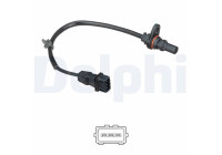 Sensor, crankshaft pulse SS11329 Delphi