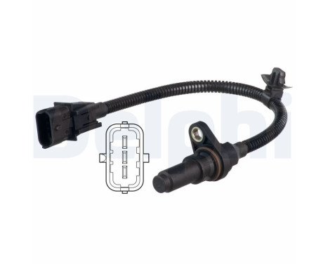 Sensor, crankshaft pulse SS11331 Delphi