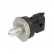 Sensor, fuel pressure DS-HD-KV4.2 Bosch, Thumbnail 4