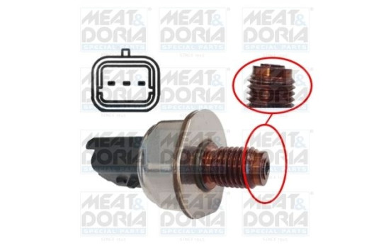 Sensor, fuel pressure