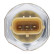 Sensor, fuel pressure, Thumbnail 2