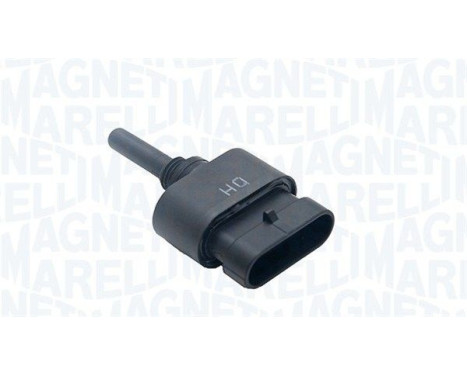 Water sensor, fuel supply