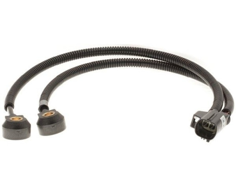 Knock Sensor 6PG 009 108-781 Hella