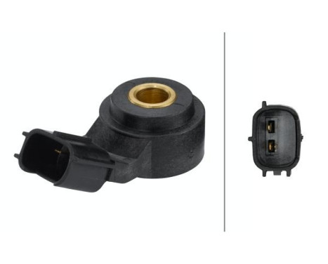 Knock Sensor 6PG 009 108-981 Hella