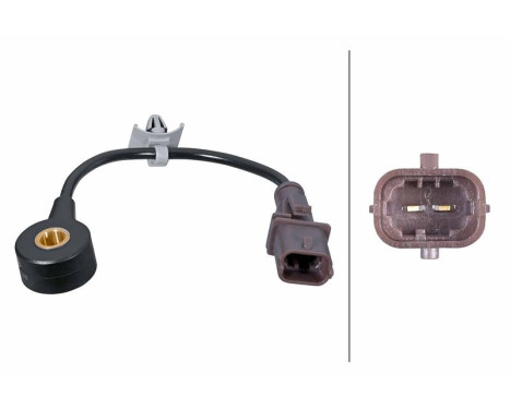 Knock sensor 6PG 013 114-831 Hella