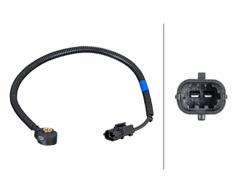 Knock sensor 6PG 013 114-871 Hella
