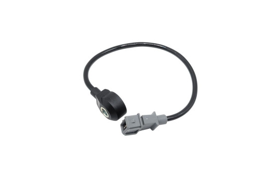 Knock sensor