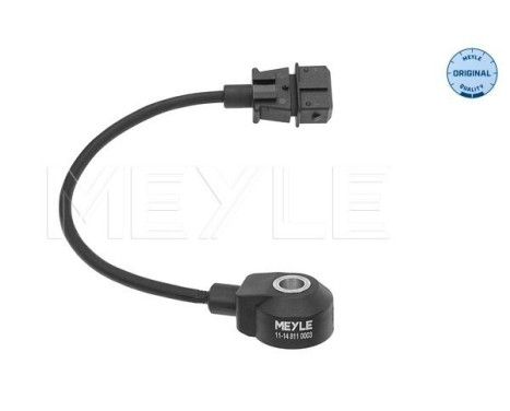 Knock sensor