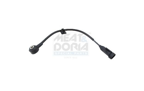 Knock sensor
