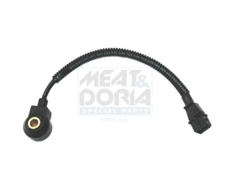 Knock sensor