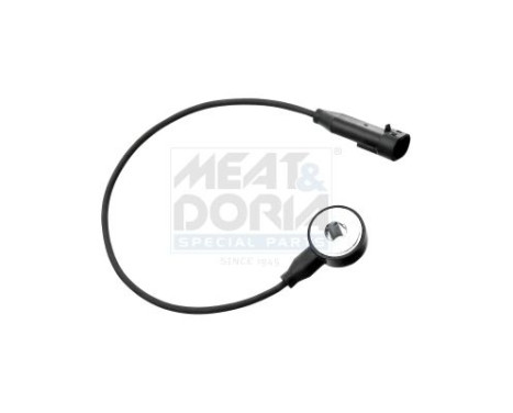 Knock Sensor