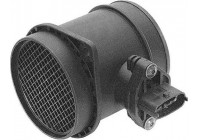 Air mass meter
