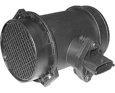 Air mass meter