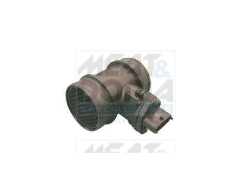 Air mass meter