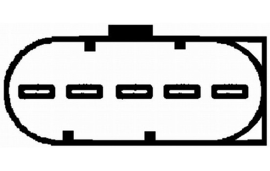 Air Mass Sensor