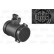 Air Mass Sensor