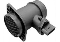 Air Mass Sensor