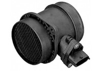 Air Mass Sensor