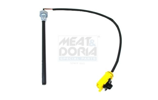 Sensor, engine oil level