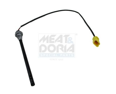Sensor, engine oil level