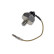 Oil Pressure Switch ADD66602 Blue Print