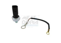 Oil pressure switch