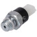 oil pressure switch