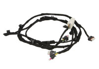 Sensor, park distance control