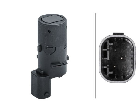 Sensor, parking distance control