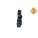 Sensor, exhaust gas pressure, Thumbnail 2