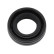 Shaft Seal, speedometer drive, Thumbnail 4