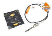 Exhaust gas temperature sensor