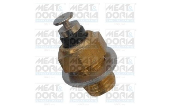 Temperature sensor