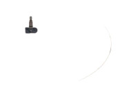 Wheel sensor, tire pressure monitoring system