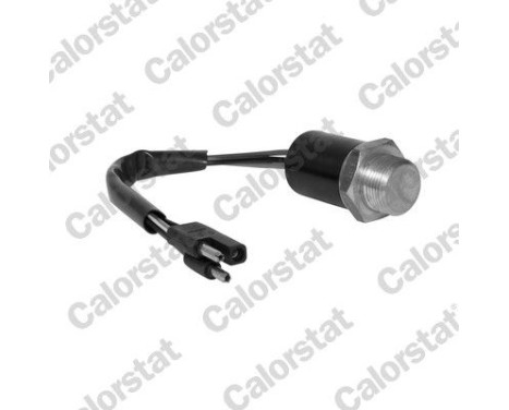 Temperature Switch, radiator fan
